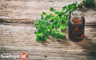 Эфирное масло орегано — полезные свойства и применение