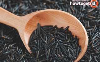 Дикий рис — польза и вред. Как готовить дикий рис