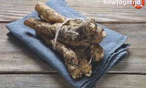 Чем полезен хрен для организма человека