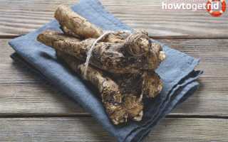 Чем полезен хрен для организма человека