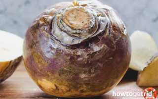 Брюква — полезные свойства и противопоказания