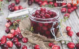 Чем полезна клюква для организма человека