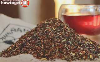 Чай ройбуш — польза и вред для здоровья