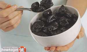 Чернослив — полезные свойства и противопоказания