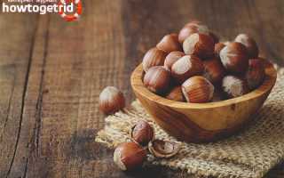 Чем полезен фундук для женщин и мужчин