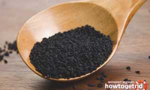 Черный тмин — полезные свойства и противопоказания