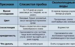 Через сколько начнутся схватки когда отошла пробка